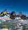 Evolution Skydiving soar to New Heights with the Motorola T82 Extreme