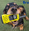 Bruce’s Doggy Day Care Benefitting from Motorola T92 Walkie Talkies