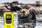 Motorola T92 Walkie Talkies Otterly the Best for Just Mammals Consultancy