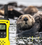 Motorola T92 Walkie Talkies Otterly the Best for Just Mammals Consultancy