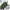 Motorola Walkie Talkie Sechserpack TLKR T60 / T61