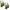 Kenwood UBZ-LJ9SET PMR446 Walkie Talkie - Quad Pack